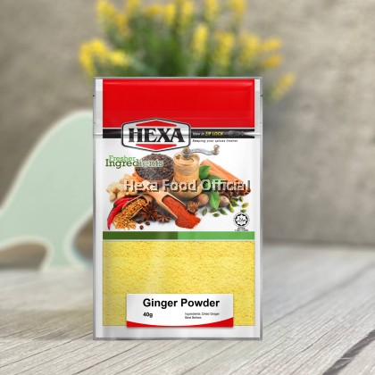 HEXA HALAL Ginger Powder 40gm